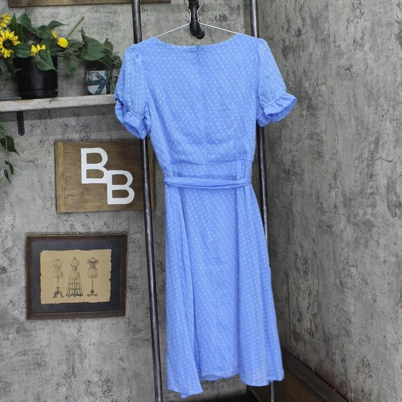 NWT Ny Collection Womens Petite Short Sleeve Belted Swiss Dot Dress Sky Blue PL - Picture 3 of 5